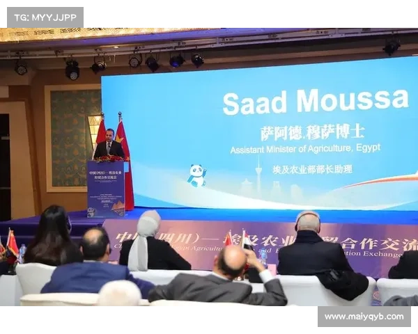 中埃丝路文化遗产国际交流活动点亮开罗 中埃丝路文化遗产国际交流活动点亮开罗